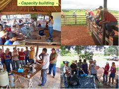 Community training in Pantanal