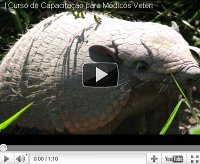 I Curso de capacita&ccedil;&atilde;o para veterin&aacute;rios de campo