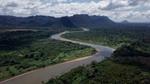 Honduras lanza una nueva iniciativa para rescatar el bosque de la Moskitia en la COP28