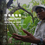 Cacao, defensa del territorio y juventud en Nicaragua.