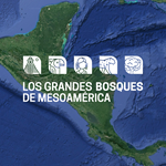 Estudios de caso: Los 5 Grandes Bosques de Mesoamérica