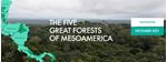 Progress on The 5 Great Forests of Mesoamerica