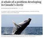 A whale of a problem developing in Canada’s Arctic