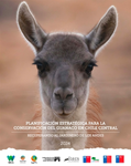 Planificación Estratégica para la Conservación del Guanaco en Chile Central 