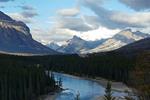 Bighorn Backcountry of Alberta: protecting Vulnerable Wildlife and Precious Waters