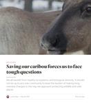 Saving our caribou forces us to face tough questions