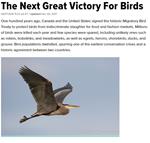 The Next Great Victory for Birds