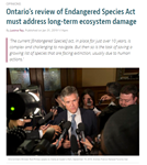 Ontario’s review of Endangered Species Act must address long-term ecosystem damage