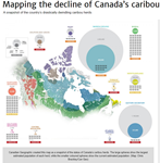 Mapping the decline of Canada’s caribou
