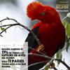 Madidi alberga el 11% de las aves del mundo