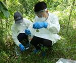 Tập huấn “Quy trình báo cáo ca mắc bệnh/chết trên các loài động vật hoang dã” tại Nghệ An