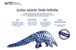 Illegal Wildlife Trade Overview (May-July 2019)