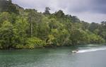 Protecting the unique biodiversity of PNG's Manus Island