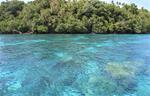 Papua New Guinea Commits to New Marine Protected Area