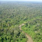 NGOs Support Royal Government of Cambodia to Designate Almost One Million Hectares of New Protected Areas