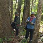 Forest and field mapping in the Seima Protection Forest