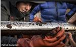 Desde Texas a Tierra del Fuego: expedición busca estimar carbono almacenado en turberas