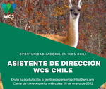 Convocatoria Asistente de Dirección WCS Chile