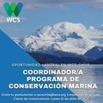 Convocatoria al cargo de Coordinador/a para el Programa de Conservación Marino de WCS Chile