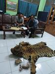 Tiger Traders Busted in Indonesia