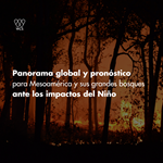 Global overview and forecast for Mesoamerica and its Great Forests as they brace for the impacts of El Niño