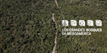 Los 5 Grandes Bosques de Mesoamérica · Boletín informativo #6 Proyecto Unión Europea · DeSIRA