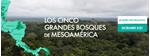 Avances sobre la iniciativa de Los 5 Grandes Bosques de Mesoamérica y Comunidades