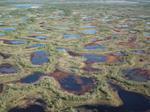Peatlands: Vital for carbon storage and stewardship