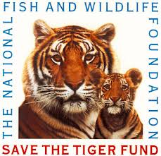 The National Fish and Wildlife Foundation Save Tiger Fund