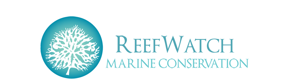 Reef Watch India