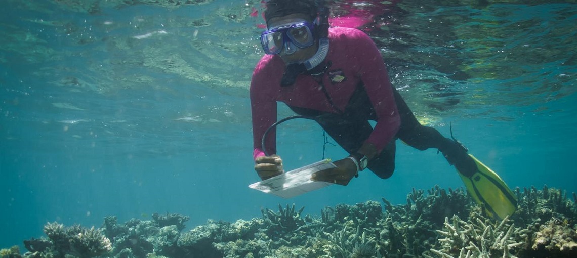 Communities Restore Degraded Reefs