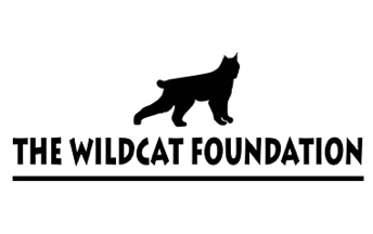 Wildcat Foundation                   
