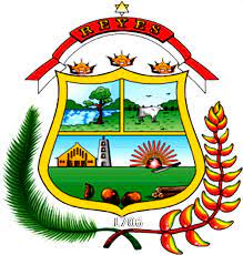 Gobierno Autónomo Municipal de Reyes, Bolivia