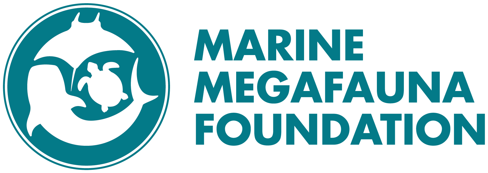 The Marine Megafauna Foundation 