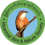 Myanmar Bird and Nature Society