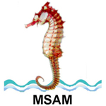 Marine Science Association of Myanmar 