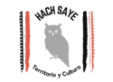 Fundación Hach Saye