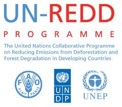 United Nations Collaborative Programme on Reducing Emissions from Deforestation and Forest Degradation