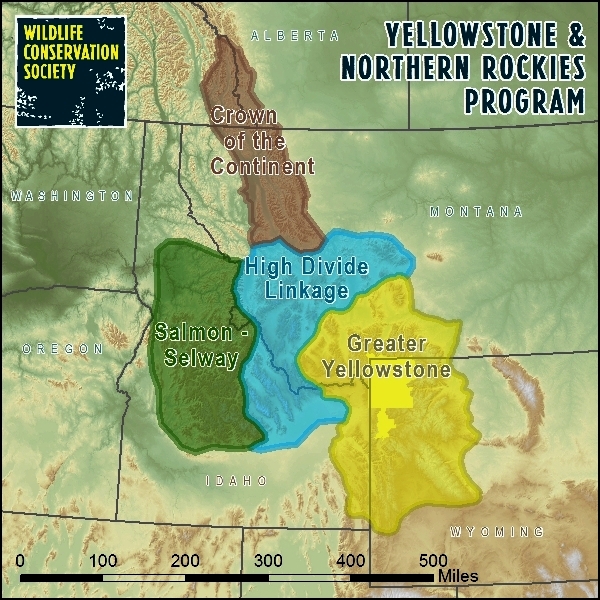 Yellowstone and Northern Rockies