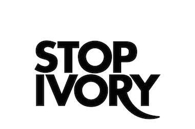 Stop Ivory