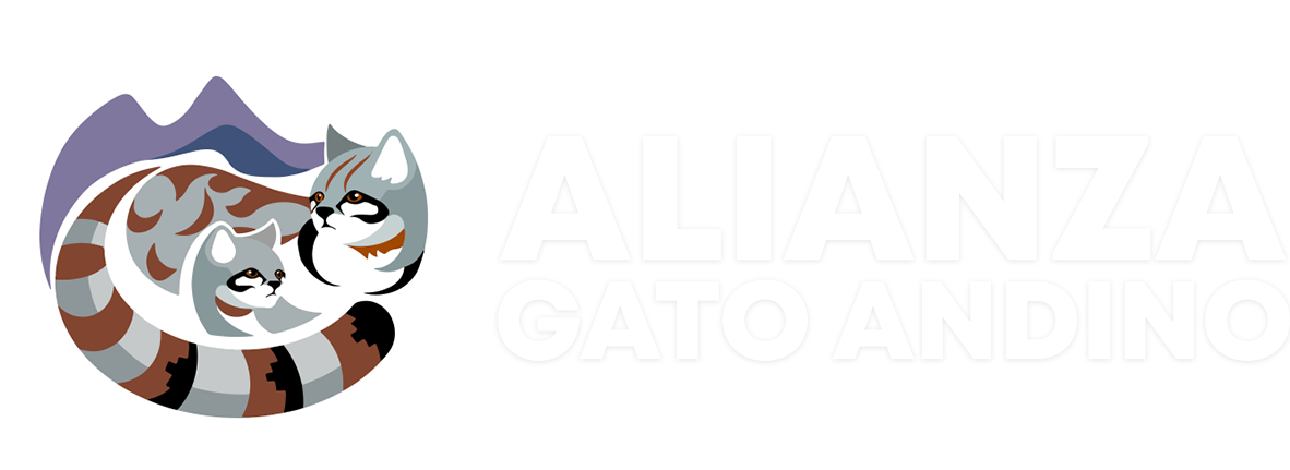 Alianza Gato Andino (AGA), Bolivia