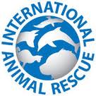 International Animal Rescue