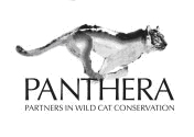 Partners in Wild Cat Conservation