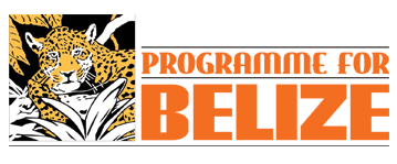 Programme for Belize