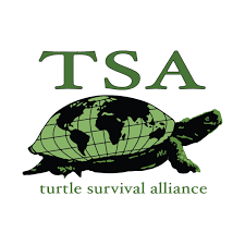 Turtle Surveillance Alliance