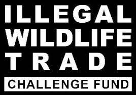 The Illegal Wildlife Trade Challenge Fund 