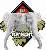 International Elephant Foundation