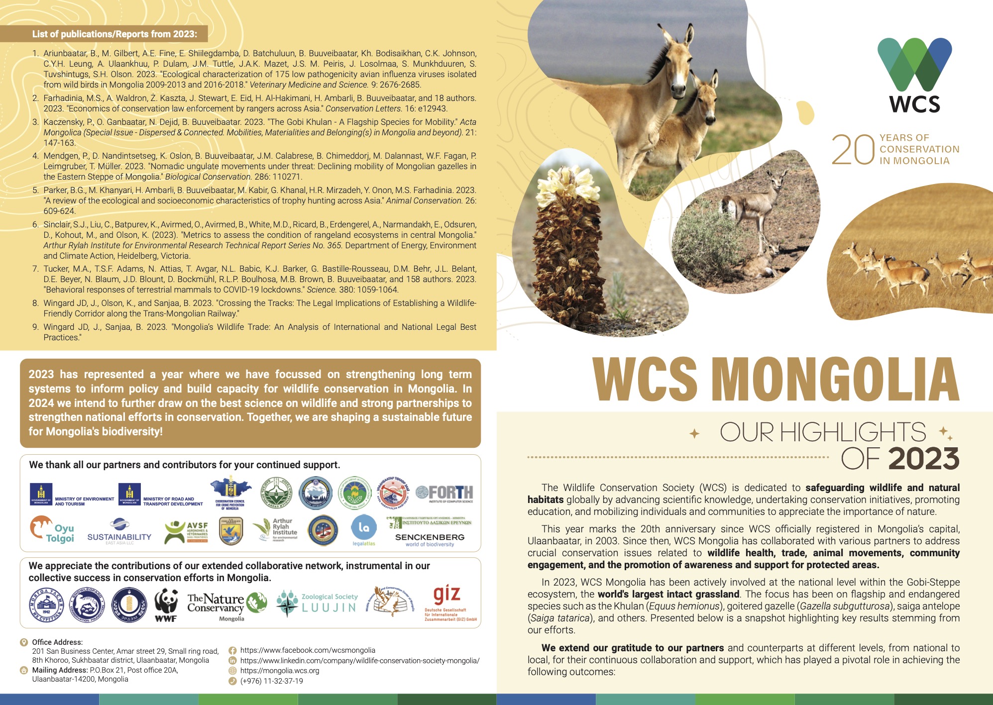 Celebrating 20 Years of Wildlife Conservation: A Look Back at WCS ...