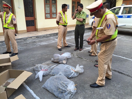 Bac Giang: Traffic police stopped a car, seized 40kg of snakes and turtles