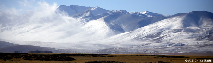 Chang Tang Tibet